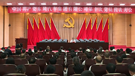 澳门精准一肖一码一一中